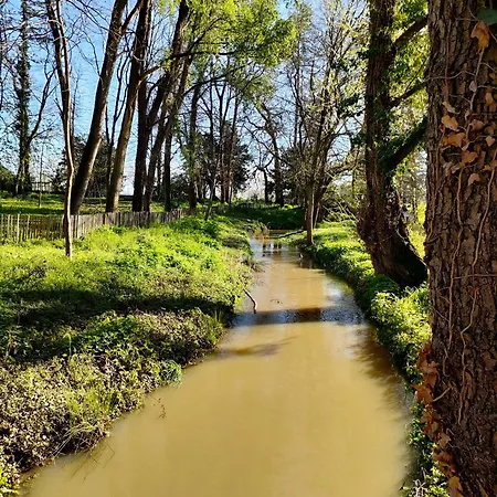 La Chamade En Beaujolais Bed & Breakfast Anse